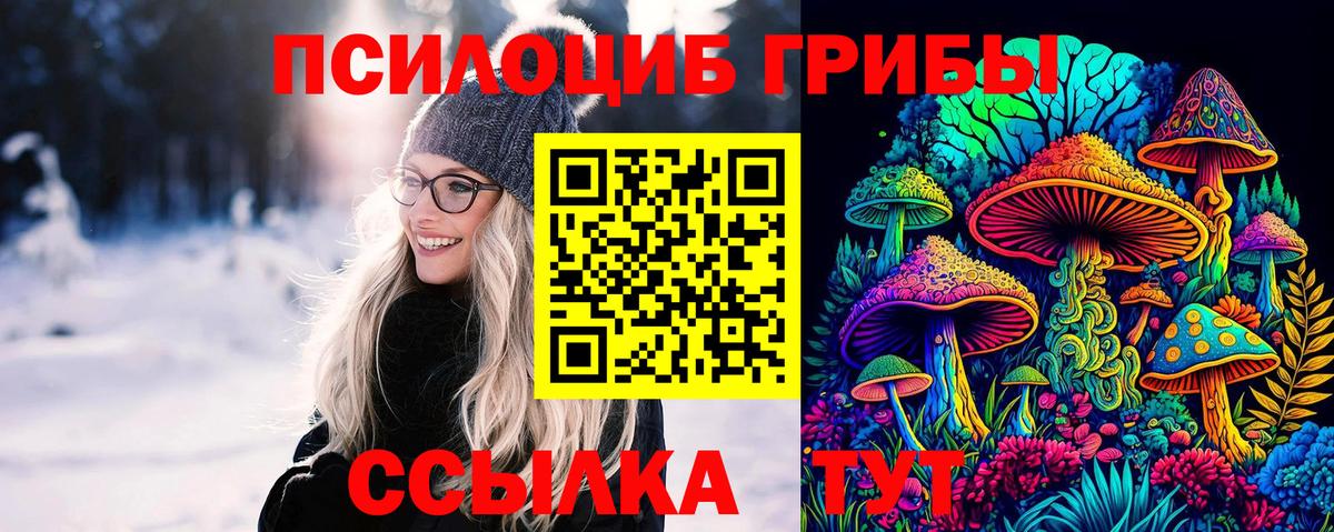 Псилоцибиновые грибы прущие грибы  Псилоцибиновые грибы Psilocybe  Вход с VPN  Топки 